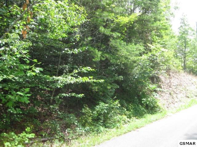 00 Black Gum Gap Road - Photo 1