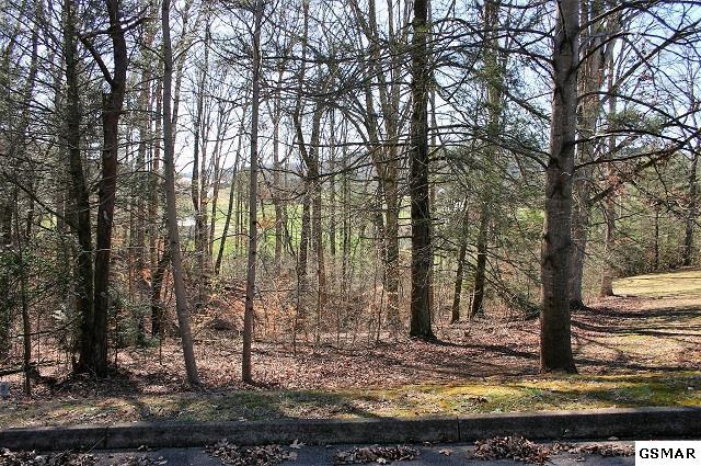 Lot 13R Roundtop Dr. - Photo 1