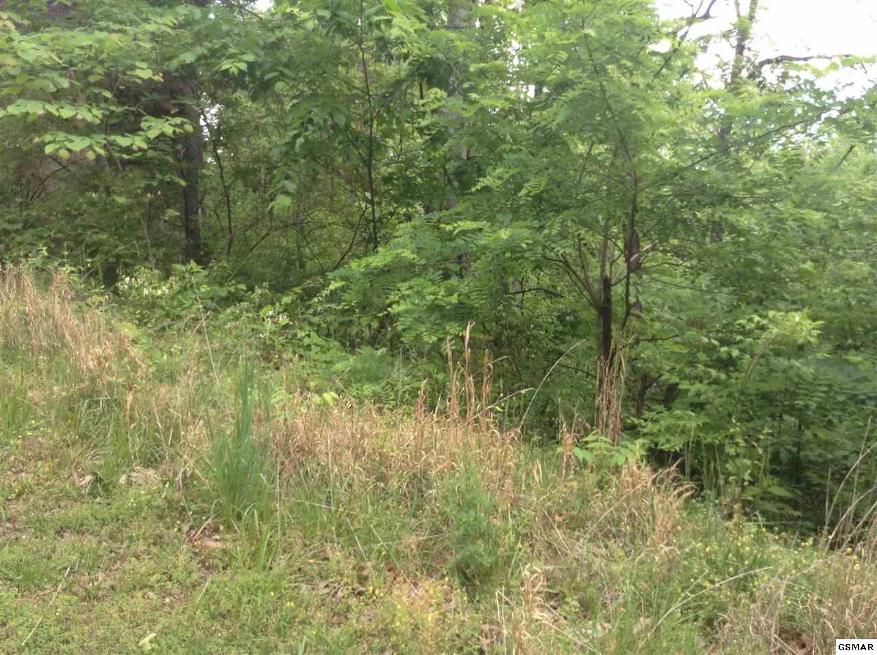 Lot 149 Eagle Feather Drive - Photo 1