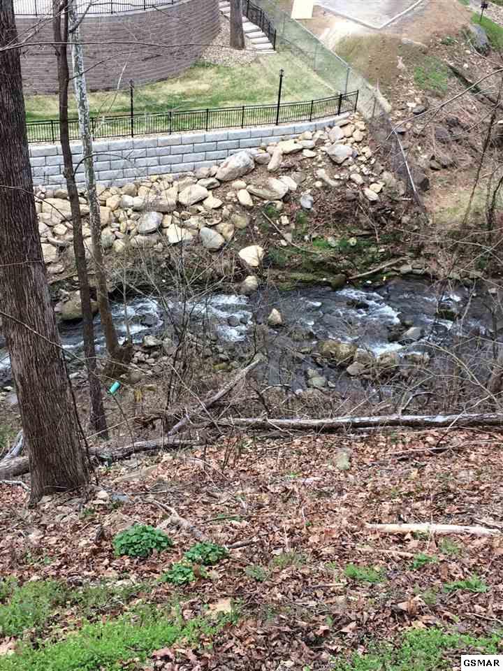 8a Savage Garden - Photo 1