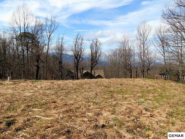 920 Pine Cone Way - Photo 1