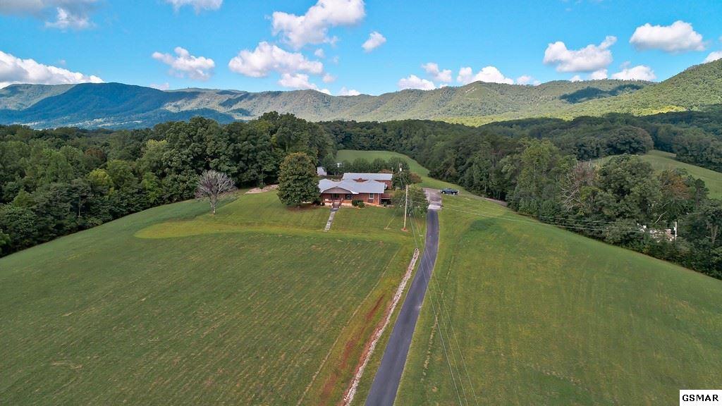 33.17 Acres 1537-1539 HWY 321 - Photo 1
