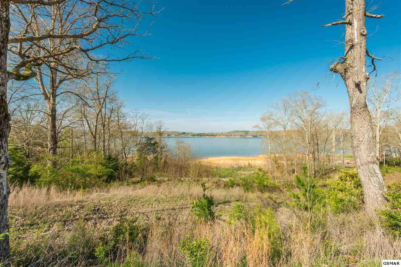 1511 Cherry Brook Dr - Photo 1