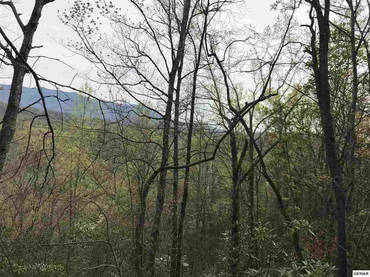 155 Gatlin Drive - Photo 1