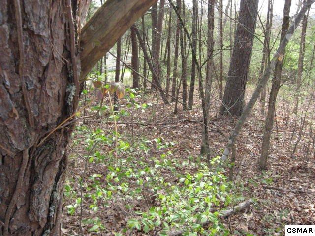 6022 Alabama - Photo 1