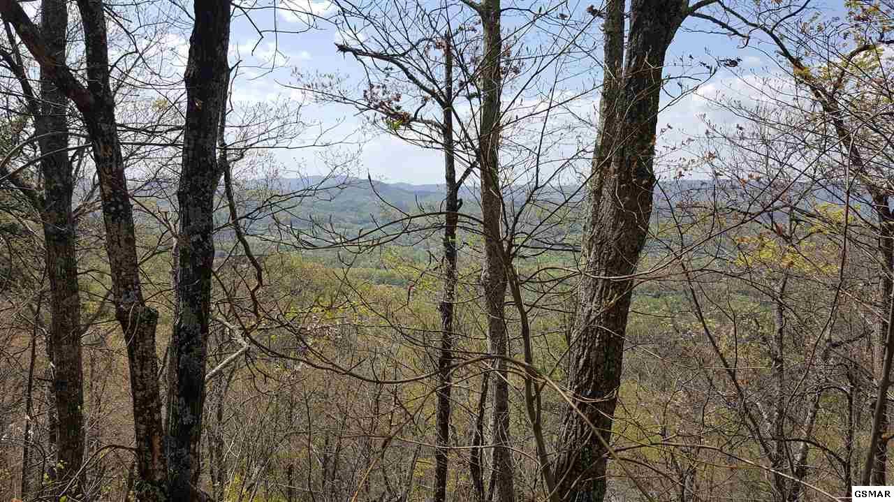 Tract 21 Cove Mountain Road - Photo 1