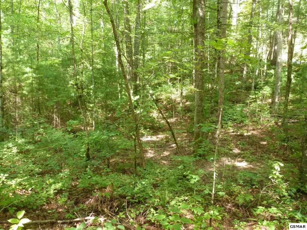 Oakwood Rd - Photo 1