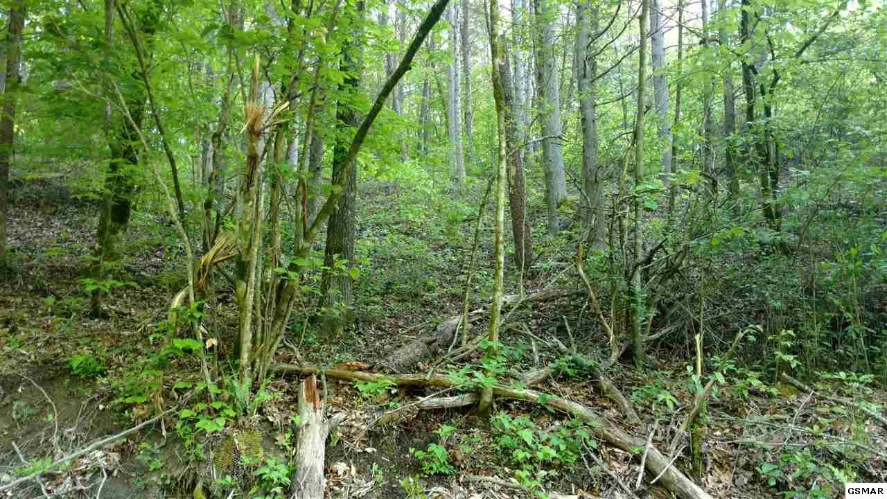 lot 4 Raven Branch - Photo 1