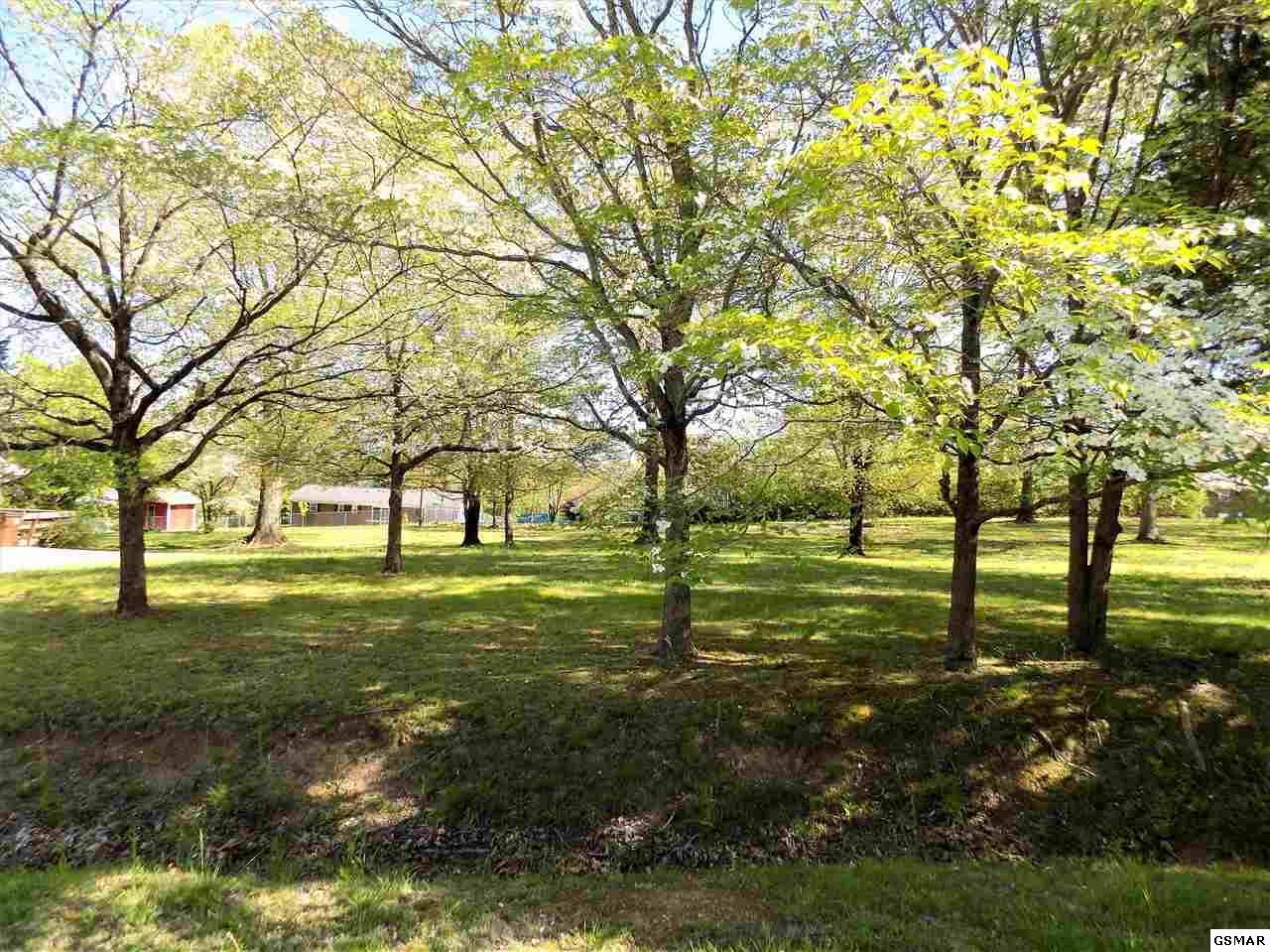 Lot 30 Buckingham Dr - Photo 1