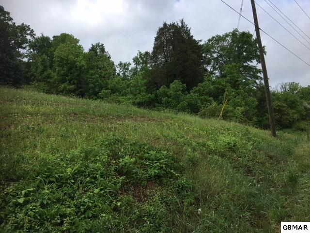 LOT 11 Douglas Dam Rd - Photo 1