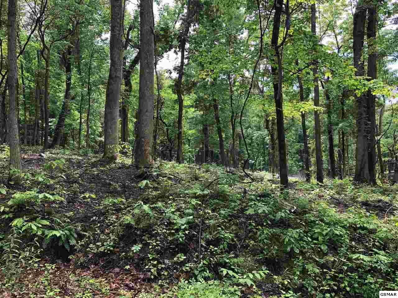 Blowing Cave Rd - Photo 1