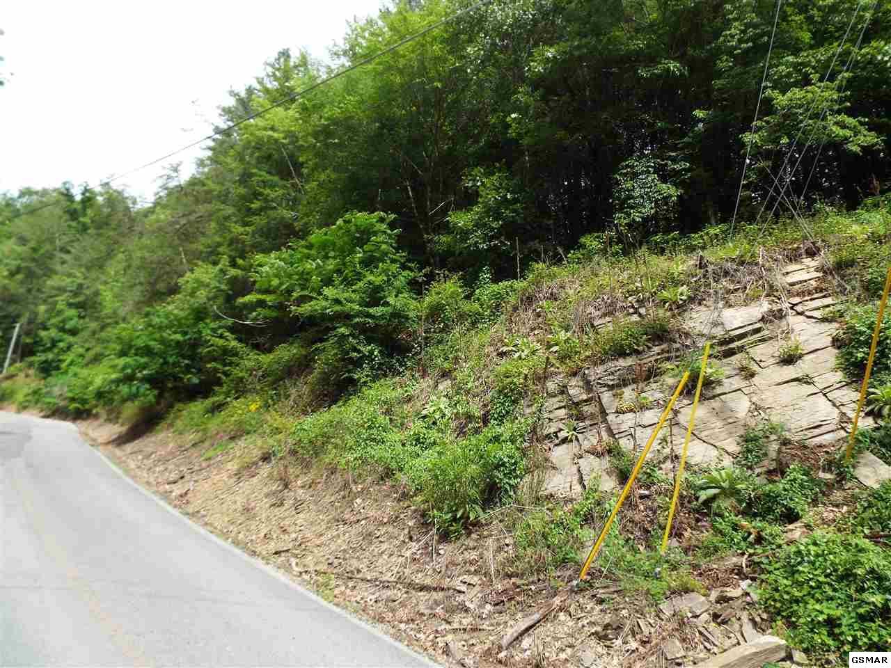 Lot 16 Sunset Rd - Photo 1