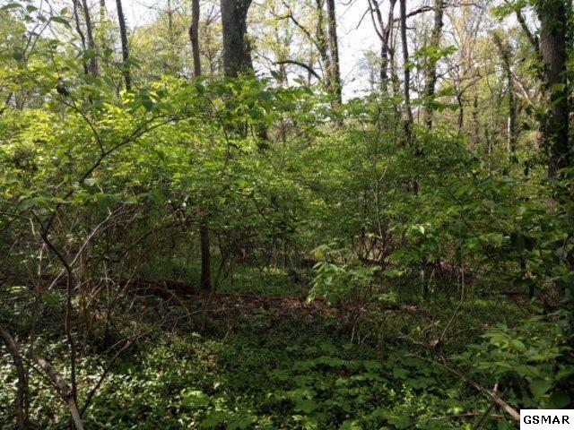 Lot 27 Crestwood Drive - Photo 1