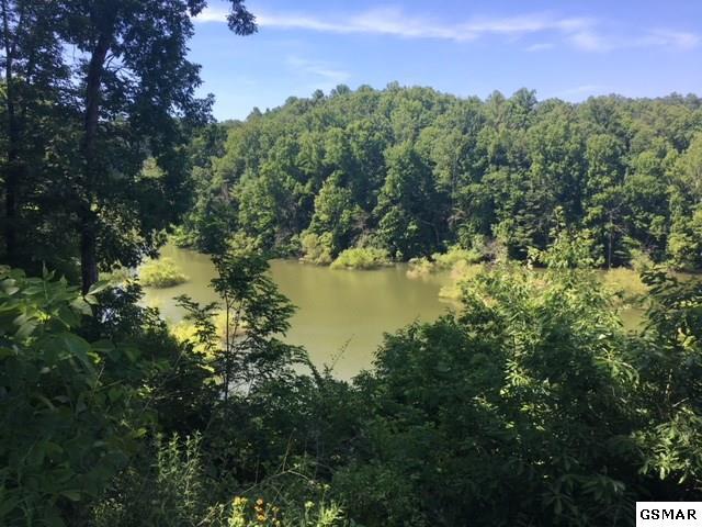 Lot 56 Timber Lake Circle - Photo 1