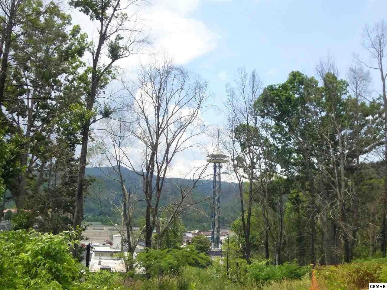 110 Holly Ridge Rd. - Photo 1