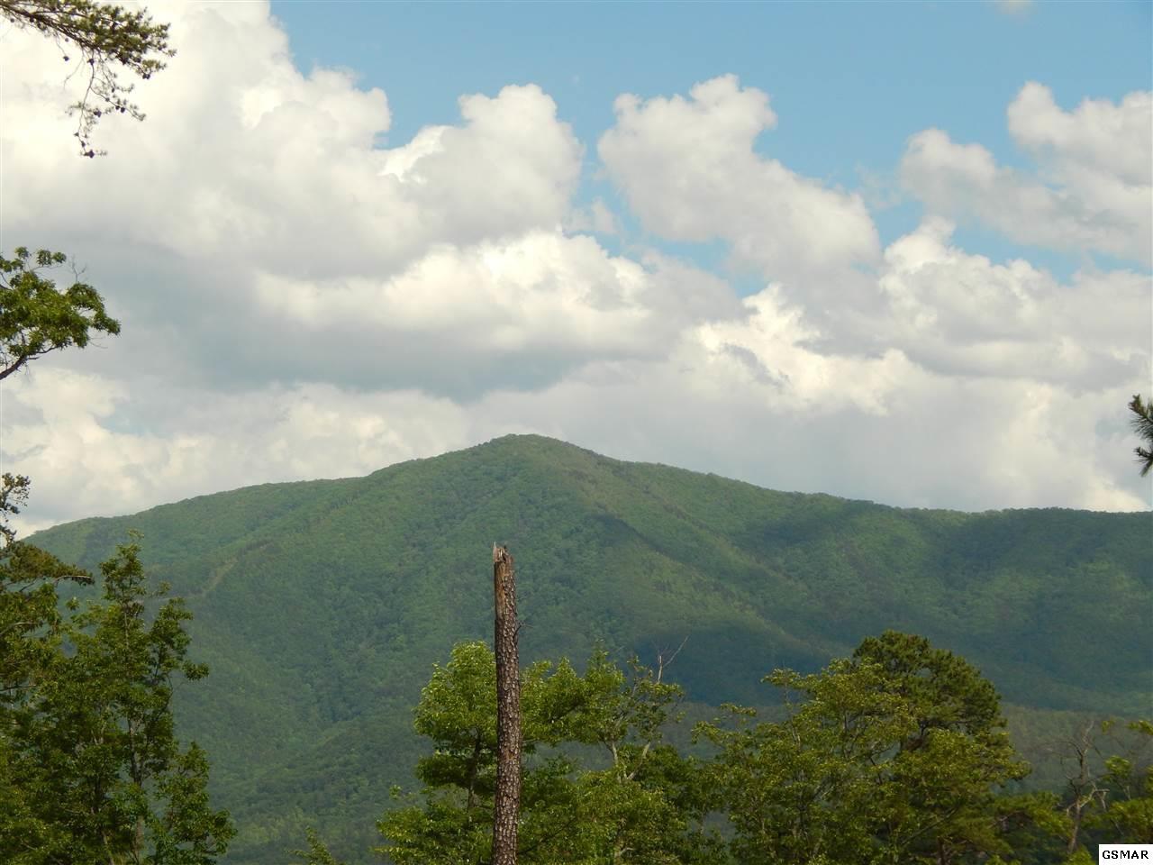 4228 Wears Valley Rd. - Photo 1