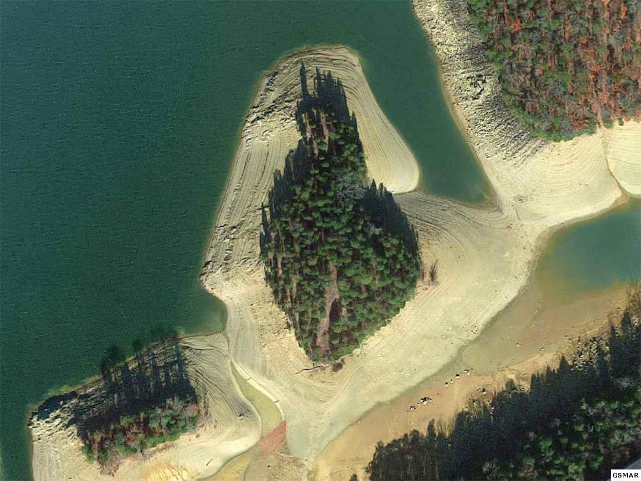 Douglas Lake Island - Photo 1
