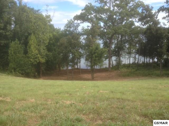 17012 Lighthouse Pointe Dr - Photo 1