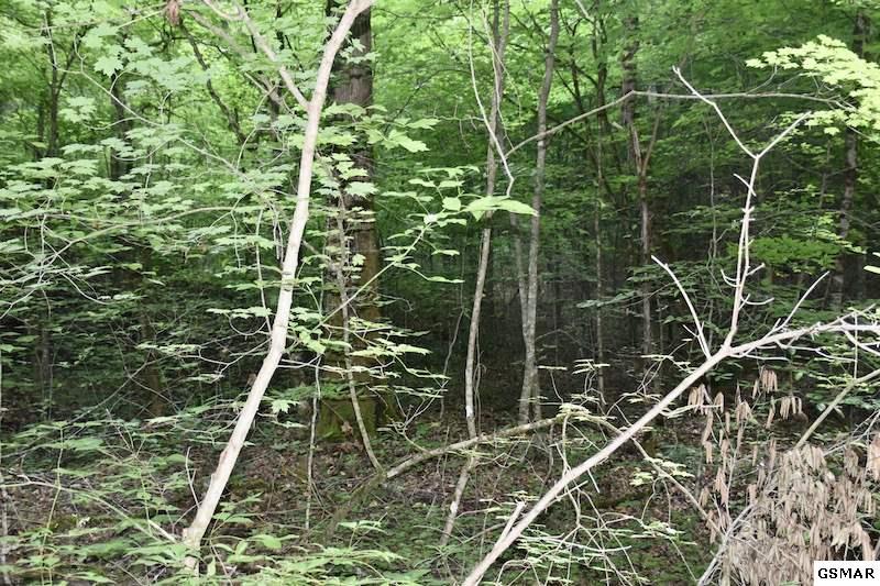 Happy Hollow Lane - Photo 1