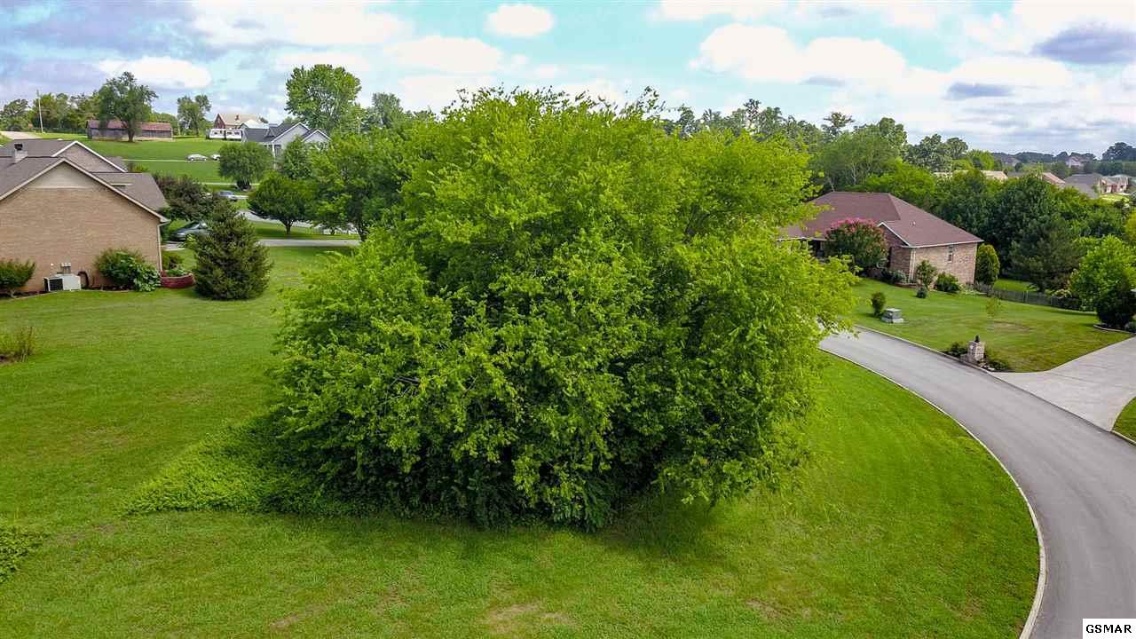 441 Lager Drive - Photo 1
