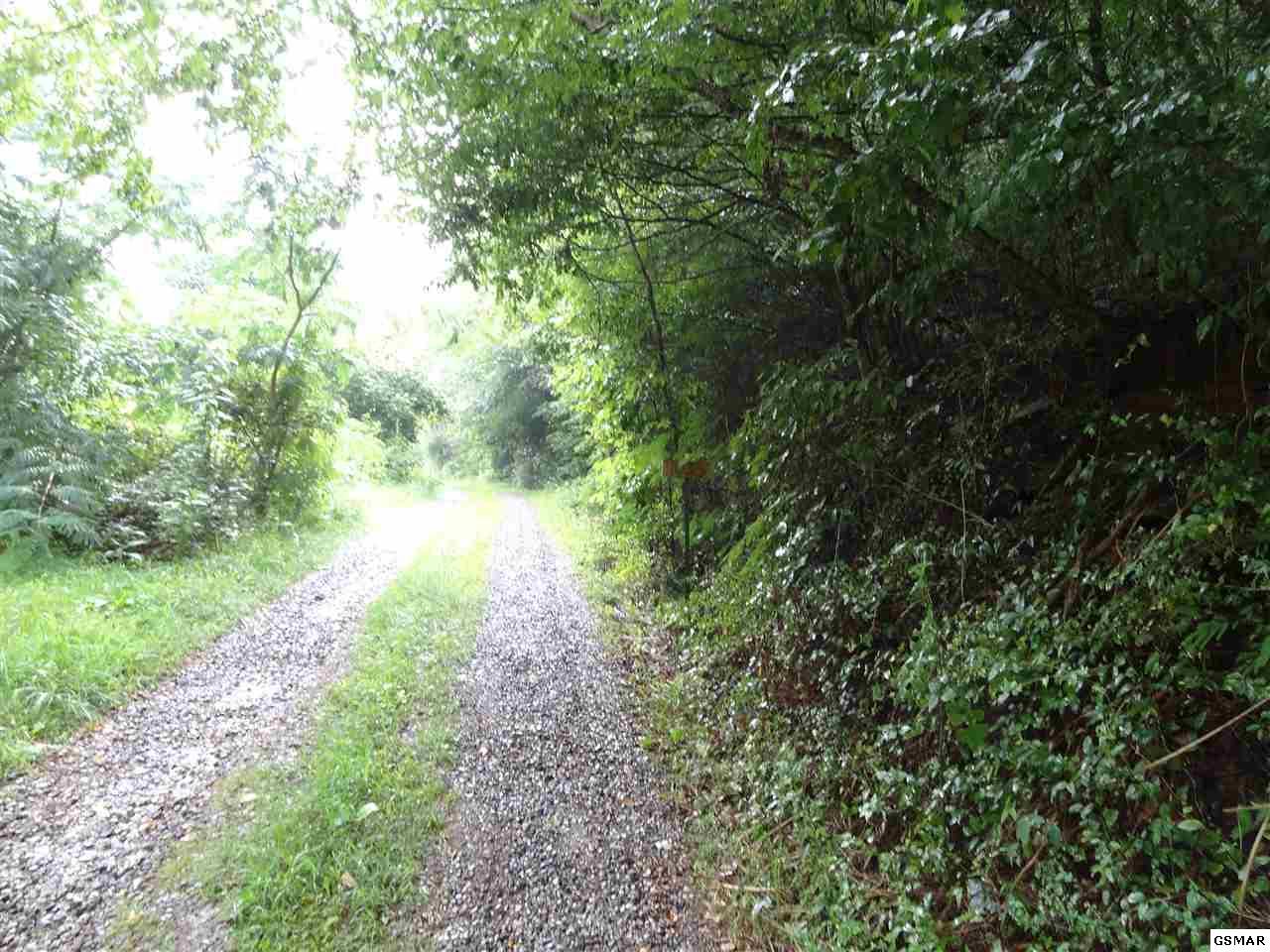 Dunn Creek Rd - Photo 1