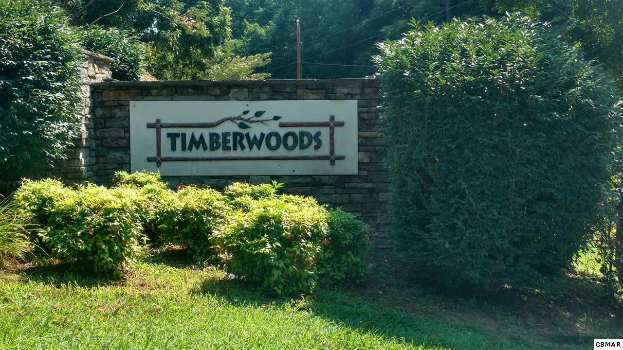 Lot 6 Timber Woods Dr - Photo 1
