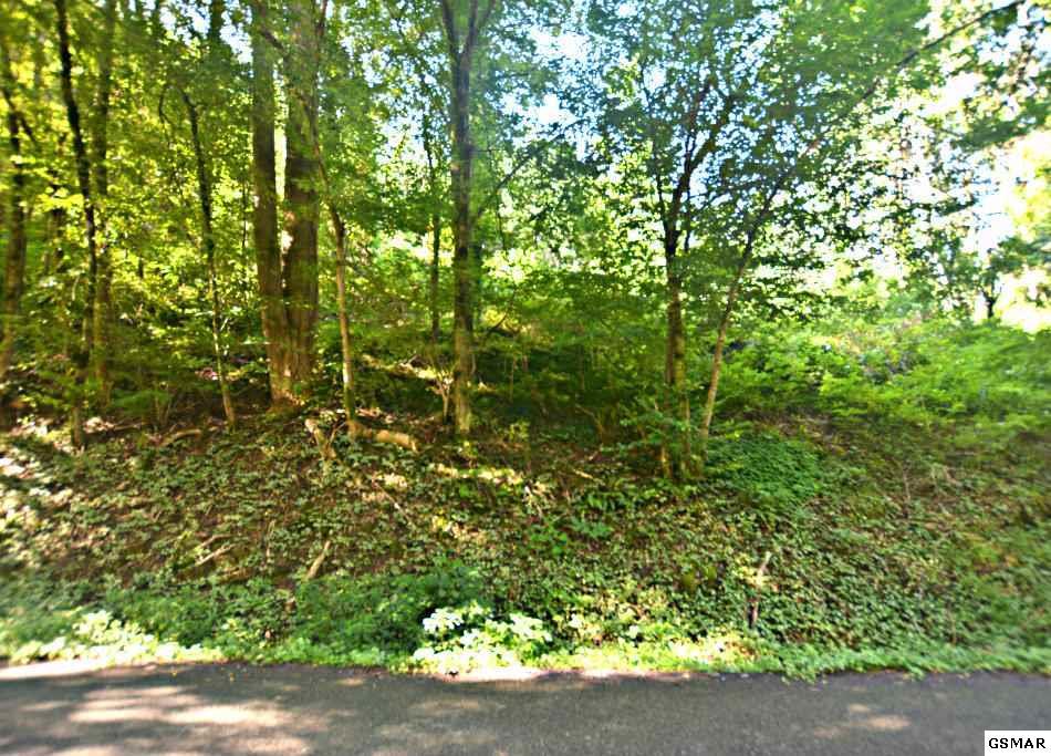Par 36 & 37 Newman Rd - Photo 1