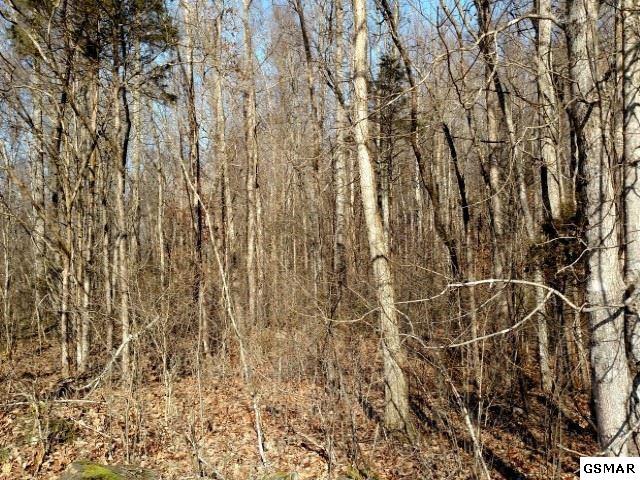 10 46 Acres Middle Fork Way - Photo 1
