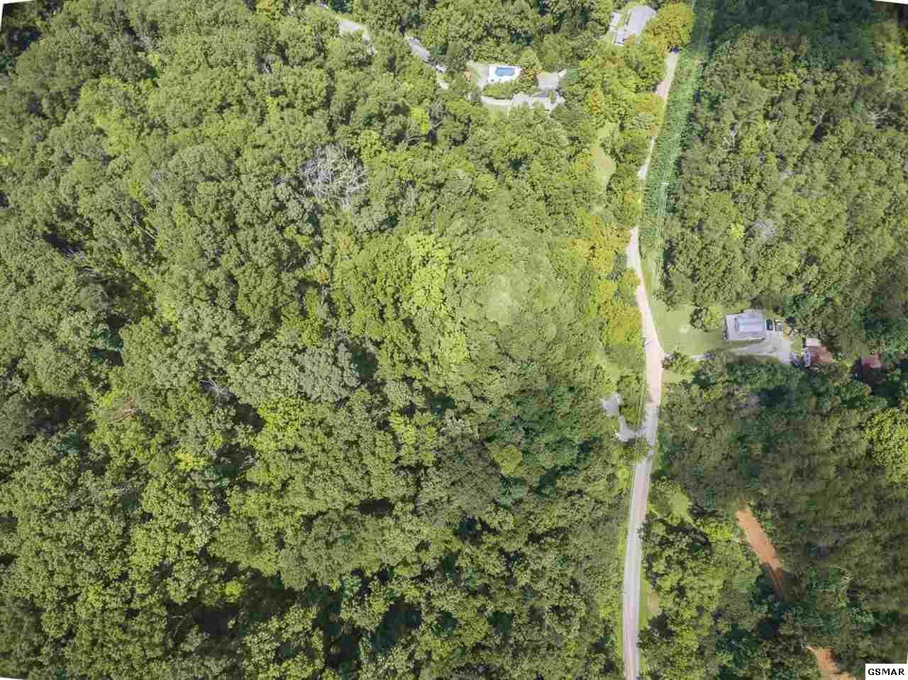 722 Old Piney Road - Photo 1