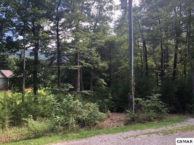 Lot 20 Roy Lee Way - Photo 1