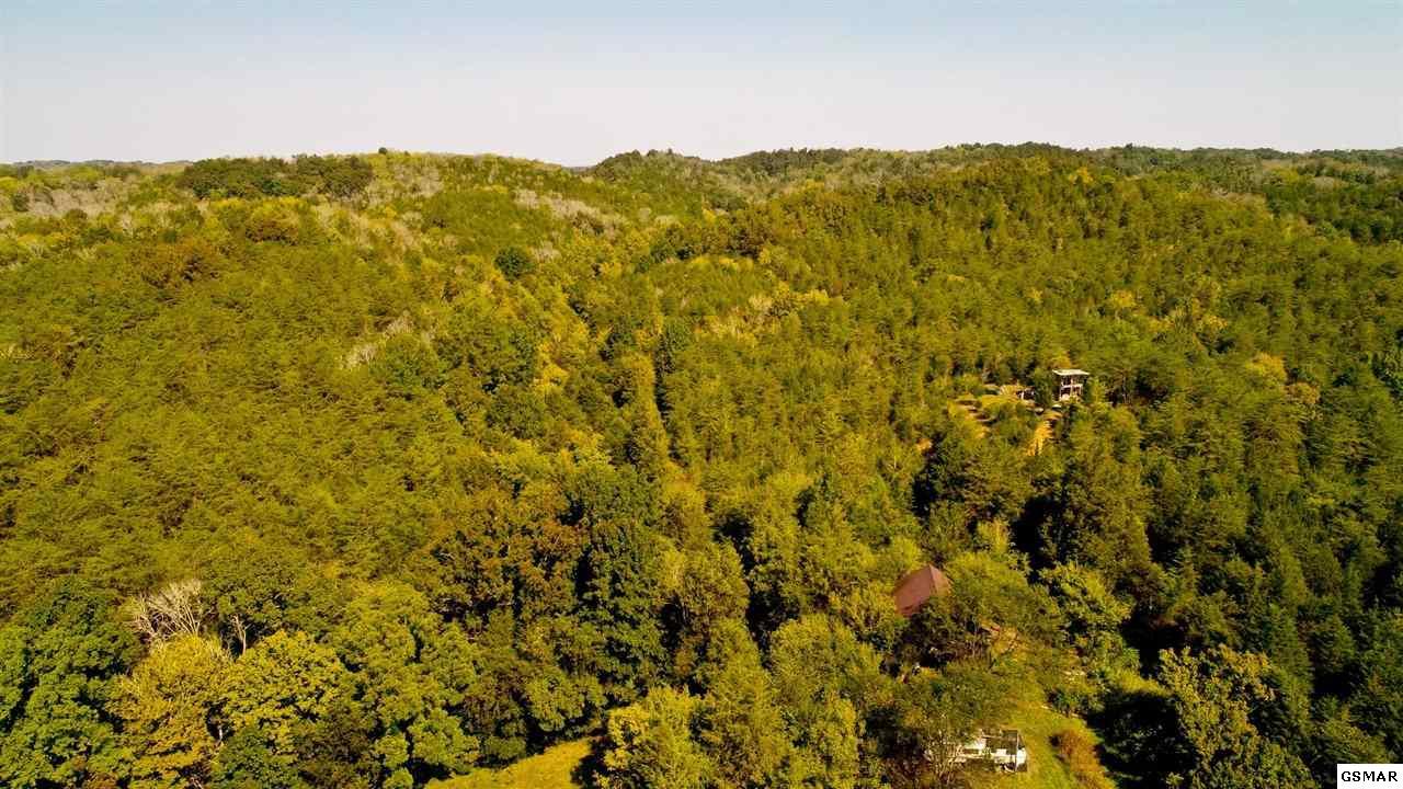 1105 Palmer Hollow Rd - Photo 1