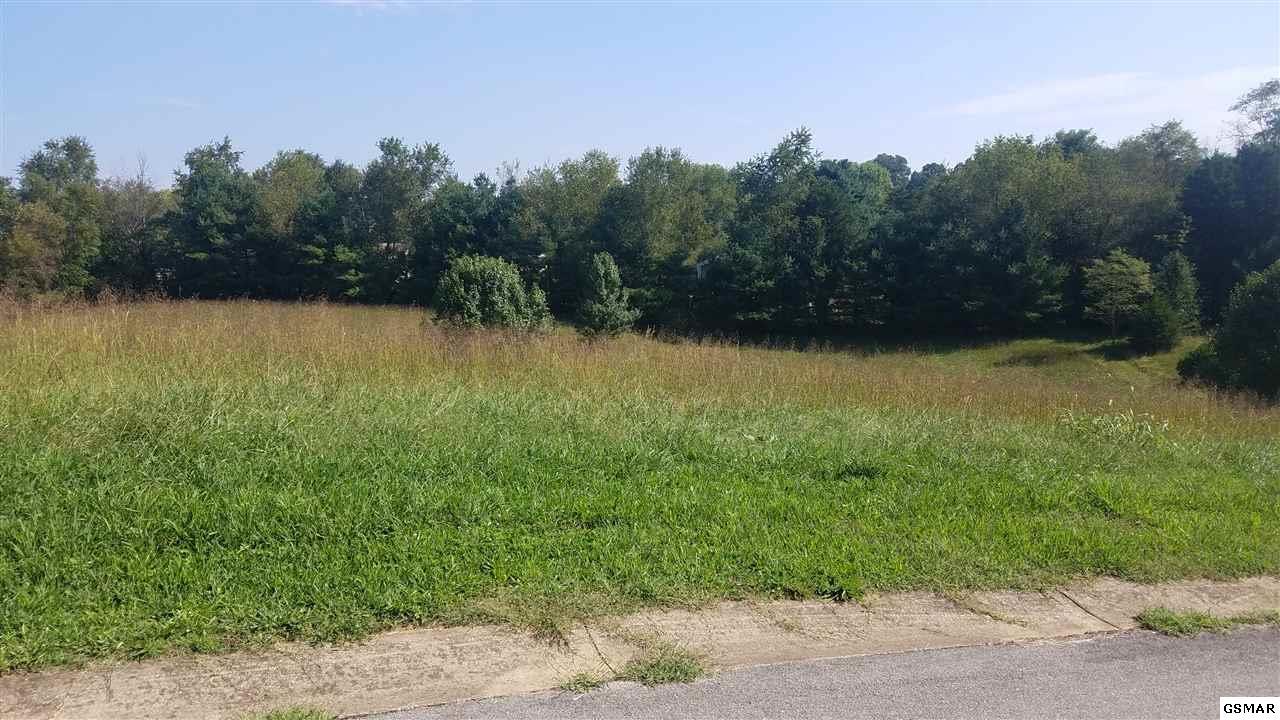 Lot 68 Southview Circle - Photo 1