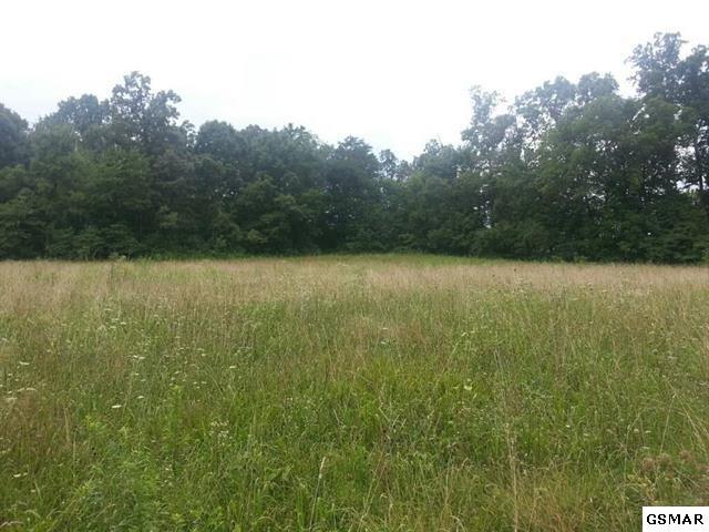 52+/- Acres Thorngrove Pike - Photo 1