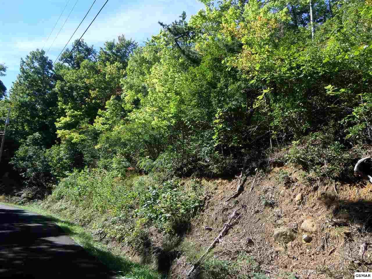 Lots 37 & 38 Bavarian Way - Photo 1