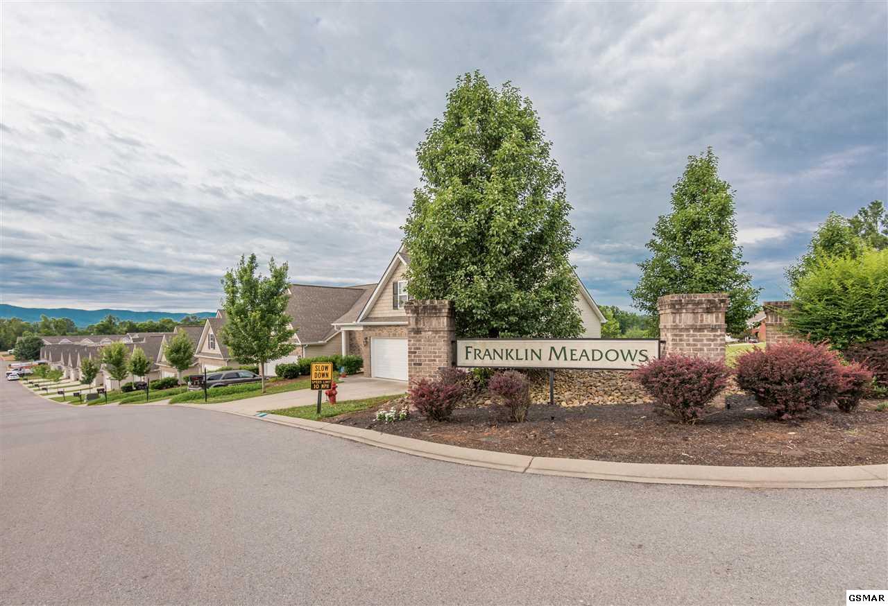 329 Franklin Meadows - Photo 1