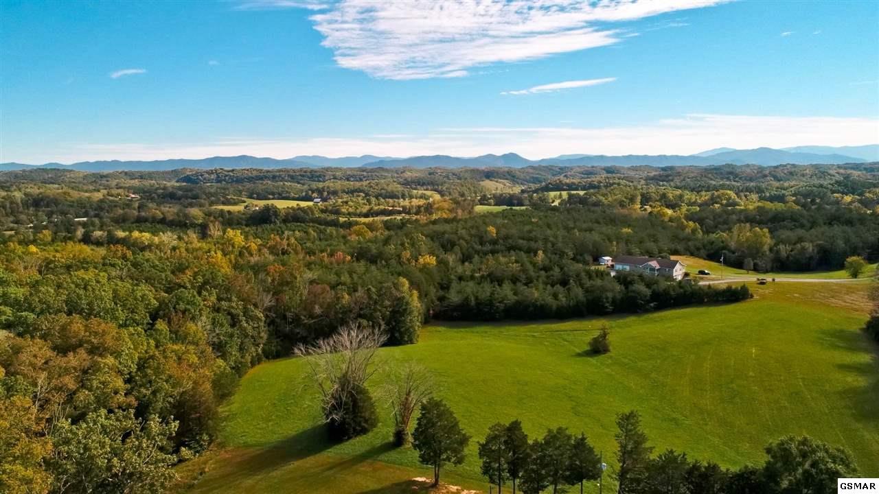 8.48 ACRES Joe Reed Rd Off - Photo 1