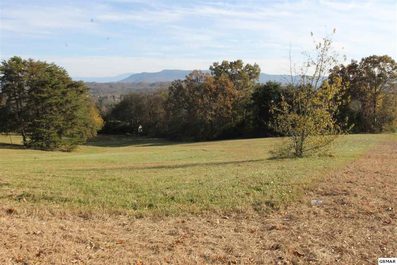 804 Bridle Ct - Photo 1
