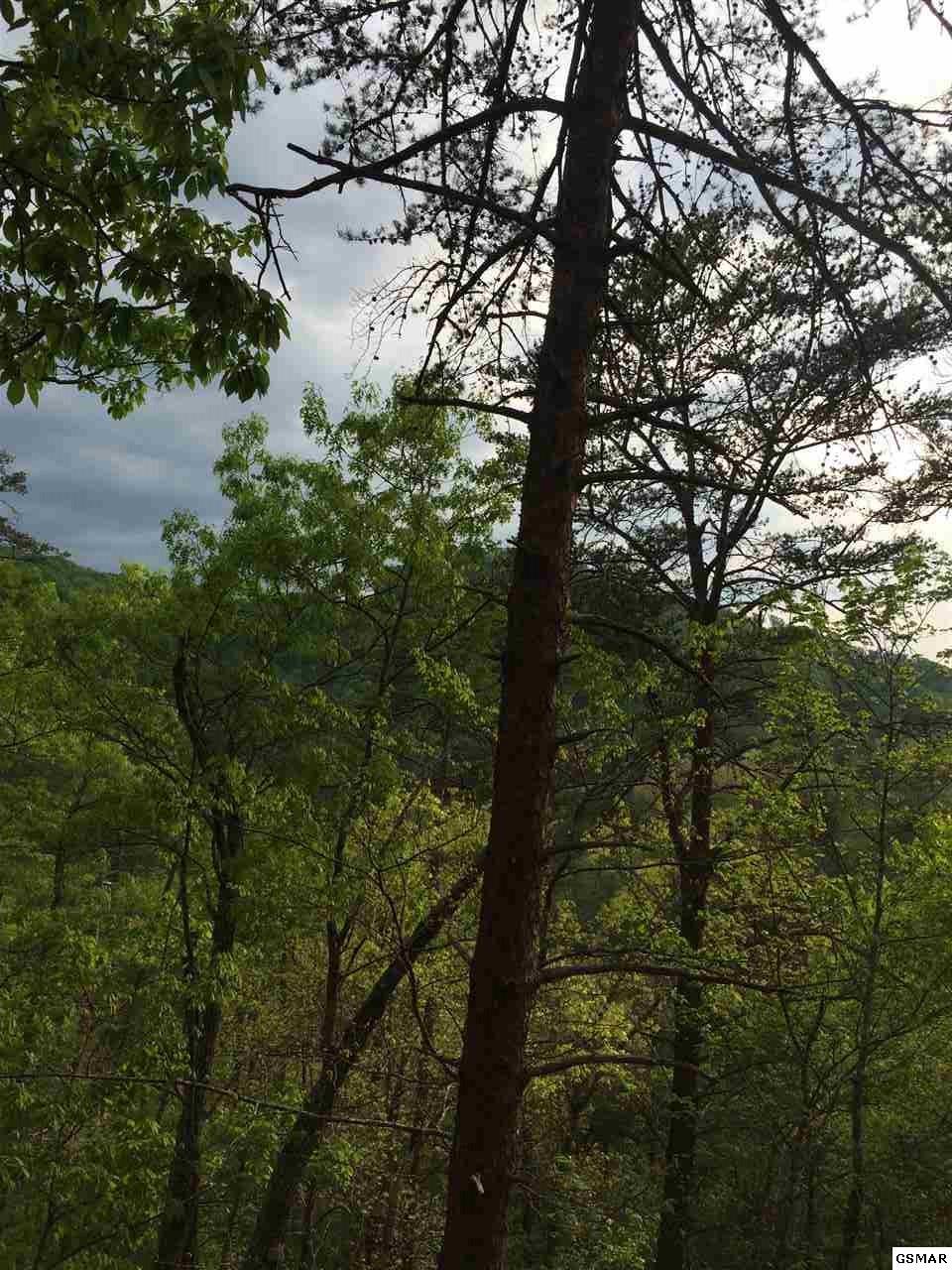 Lot 74 Parkside Retreat Way - Photo 1