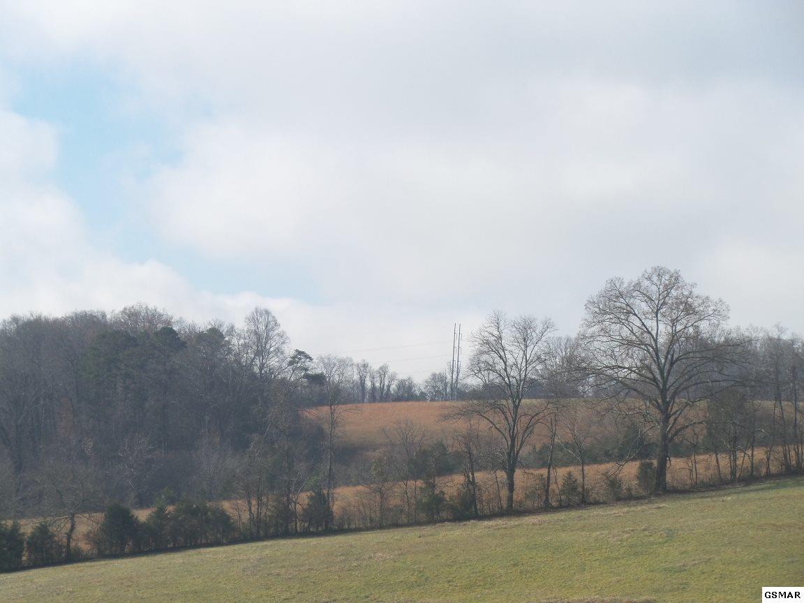W W W Dumplin Valley Rd - Photo 1