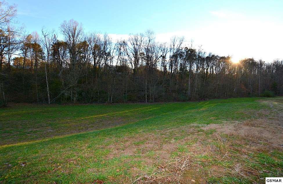 Lot 16 Deer Meadows Rd - Photo 1