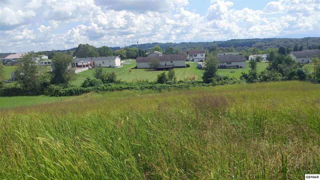 735 Tuckahoe View Trail - Photo 1