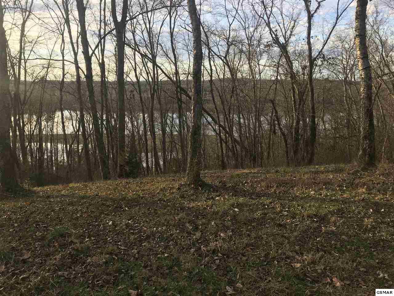 Lot Lot Lot Lot 11R Waterford Wat - Photo 1