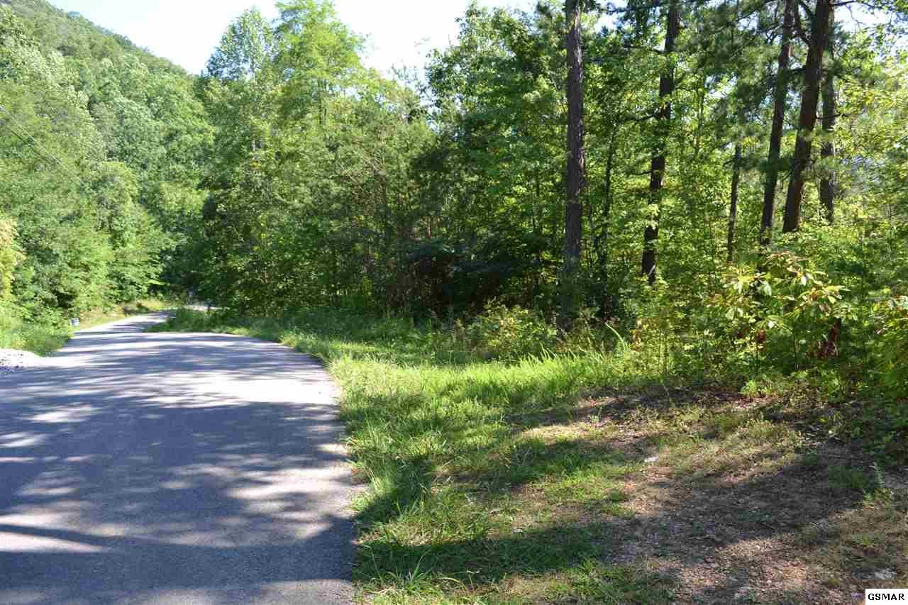 PO Lot 21 Clabo Mountain Way - Photo 1