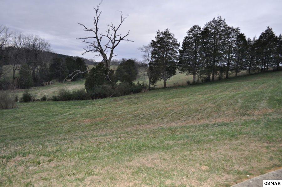 Lot 15 Tradition Lane - Photo 1
