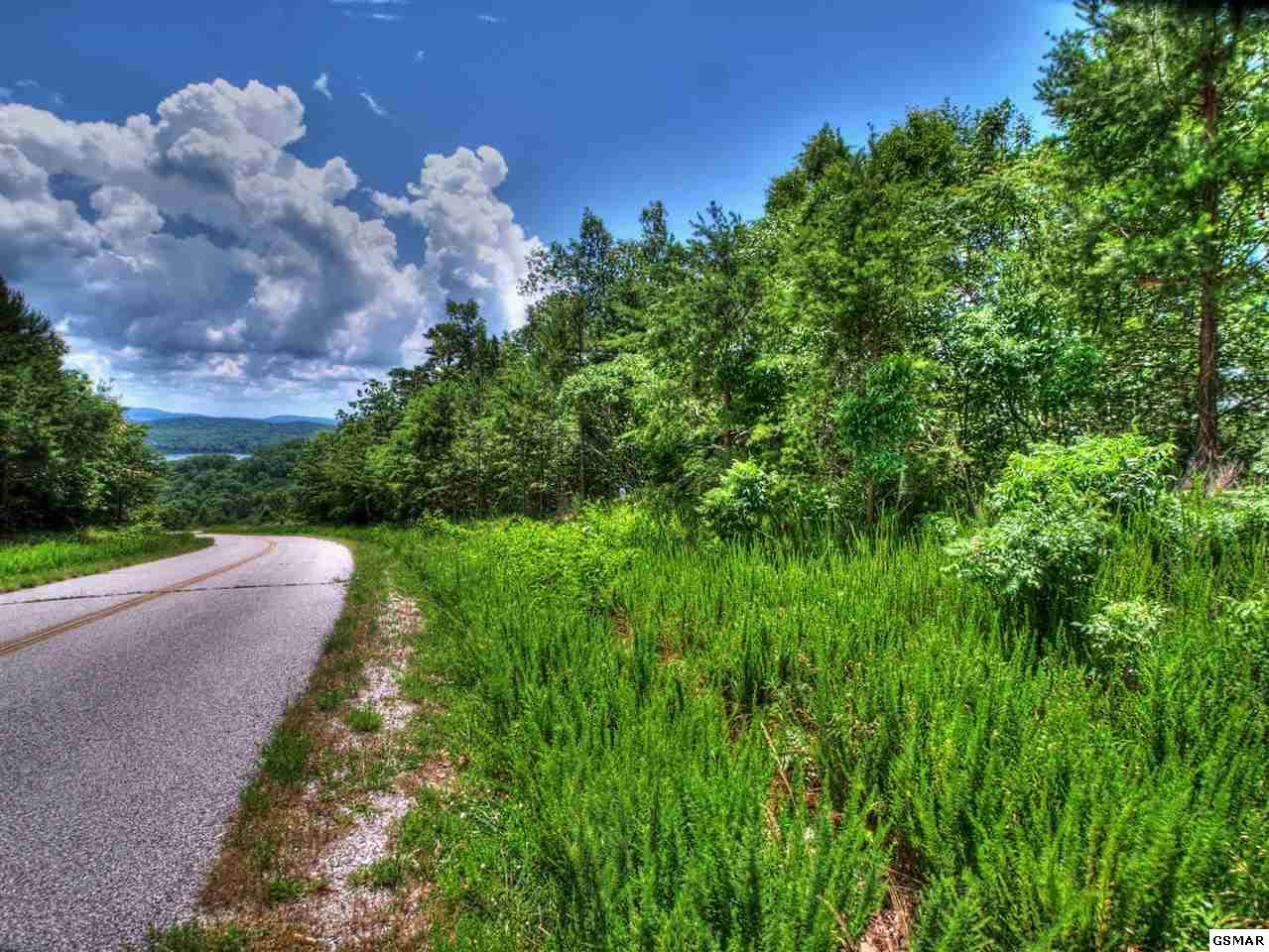 Lot 418 Flint Ridge Rd - Photo 1