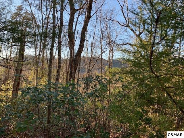 Lot 115 Whetstone Rd - Photo 1