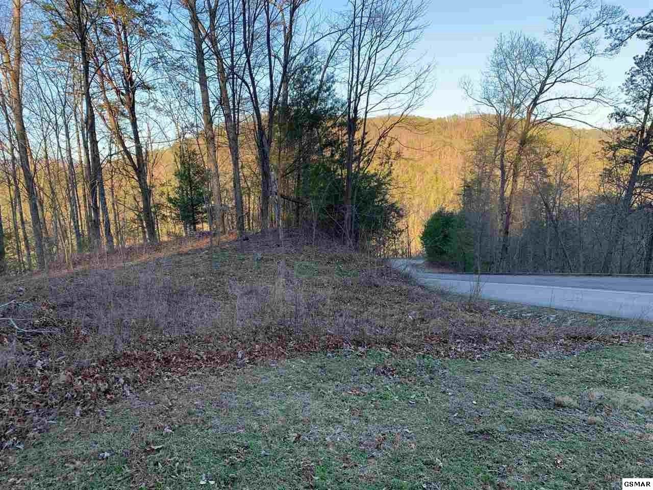 Lot 66 Whetstone Rd - Photo 1