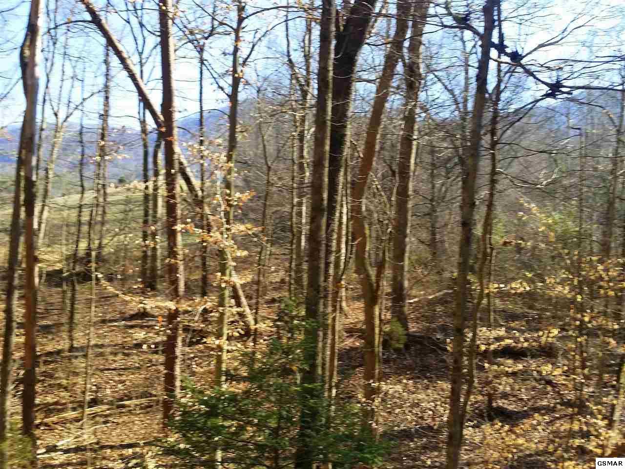 Lot 69 Mistletoe Loop - Photo 1