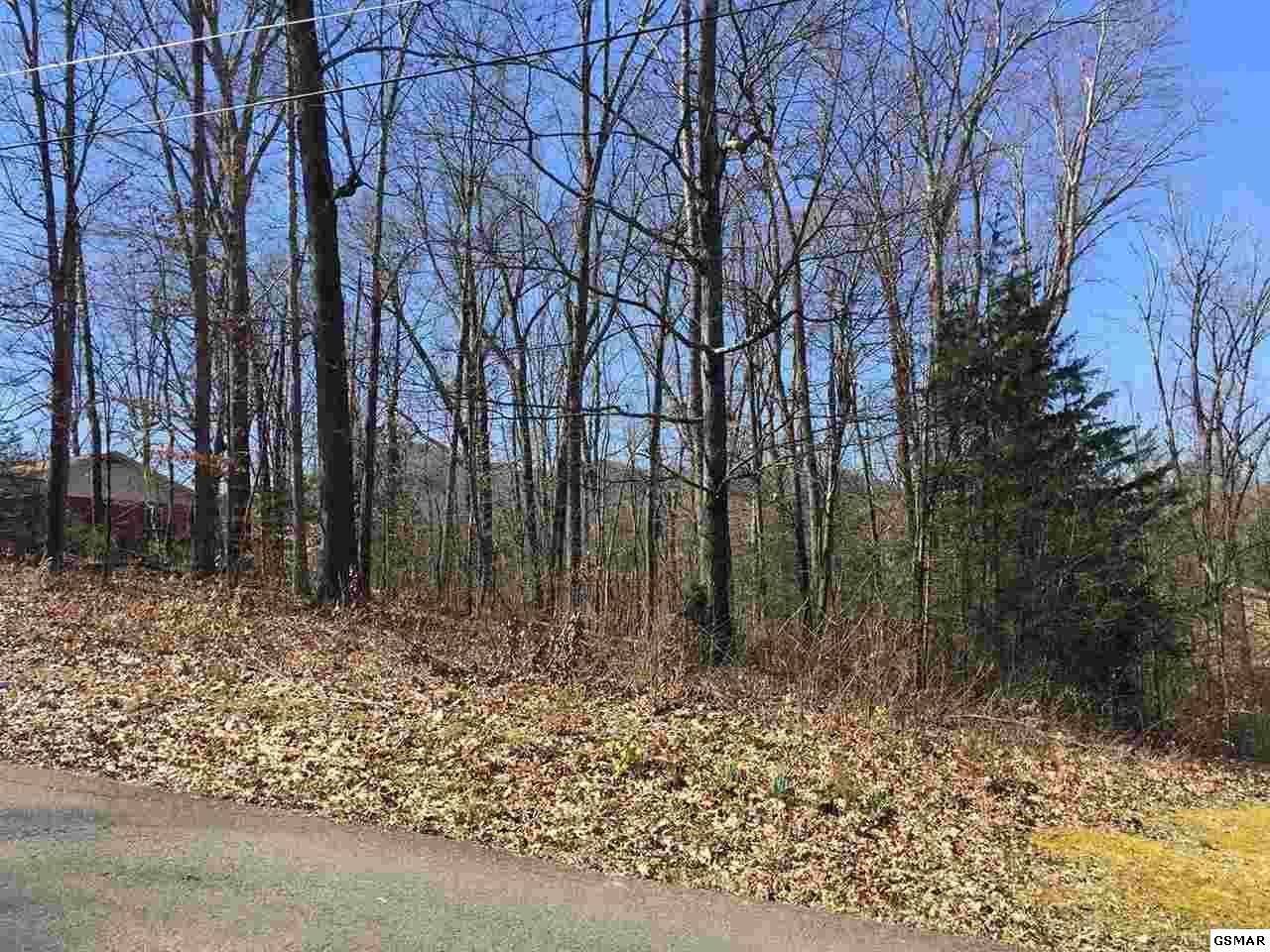 Lot 18 Sunset Circle - Photo 1