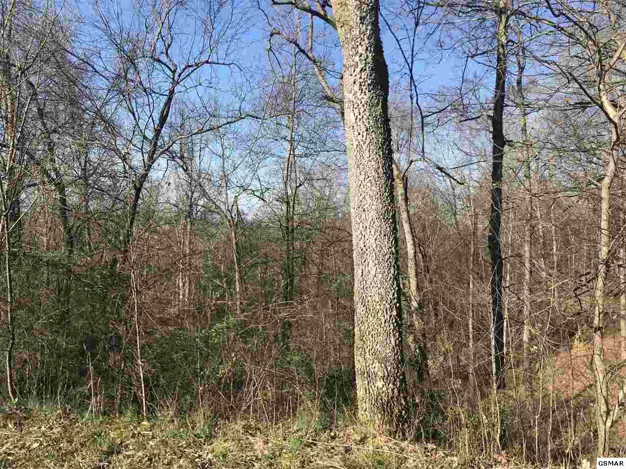 Lot 9 Walk In The Trees Dr - Photo 1